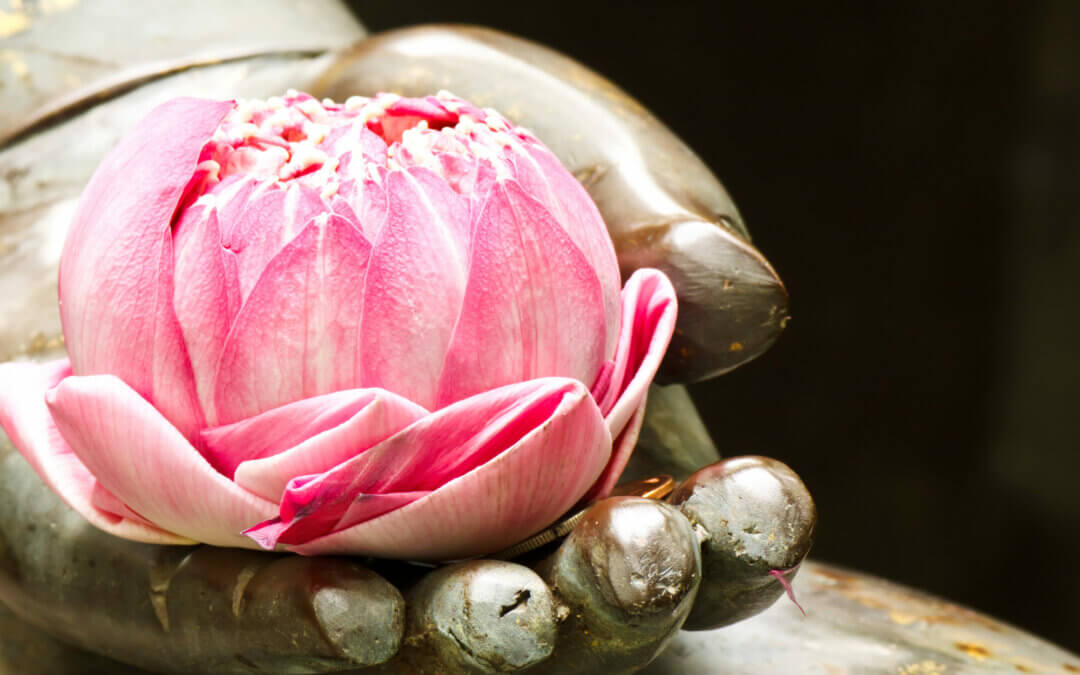 Gibt es eine Verbindung zwischen Yoga, Ayurveda und Webdesign?