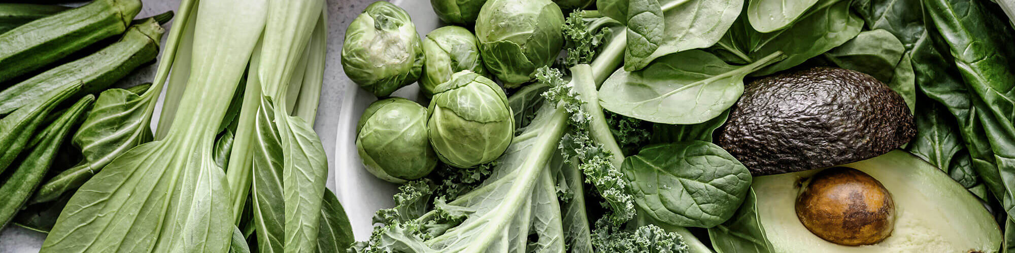 Ernährungsberatung Ernährungsberatung