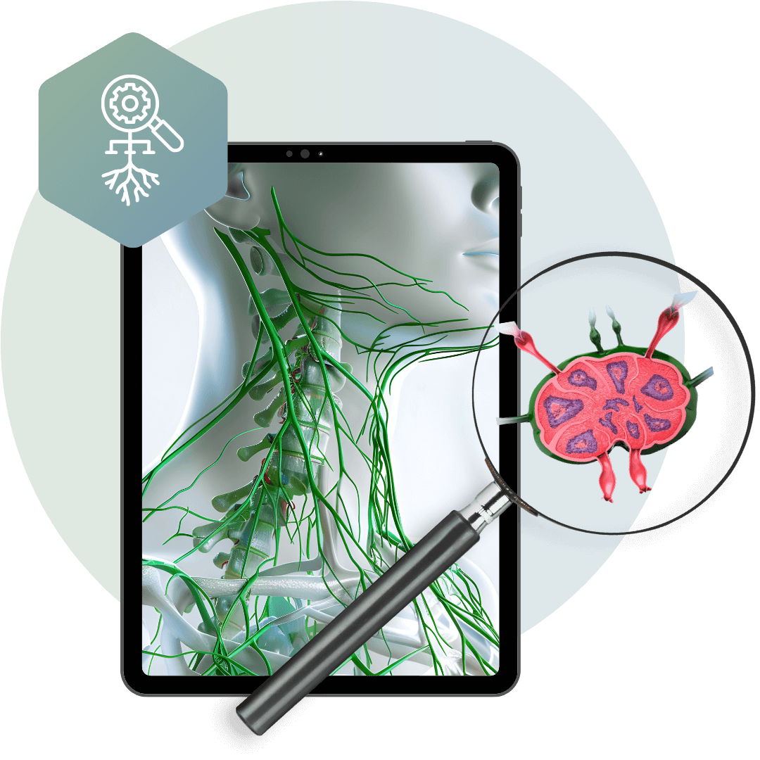 Health Profiler und Longevity Coach Ausbildung