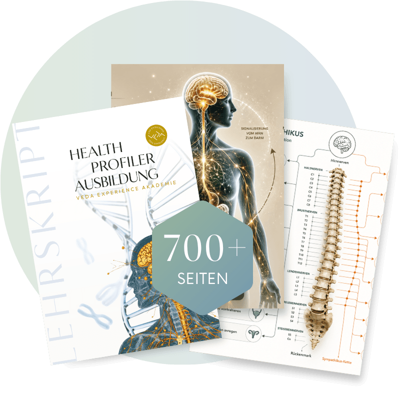 Health Profiler & Longevity Experte Ausbildung: Lehrbuch