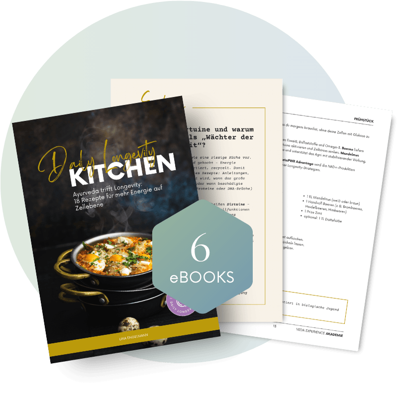 Health Profiler und Longevity Coach Ausbildung: Kochbuch